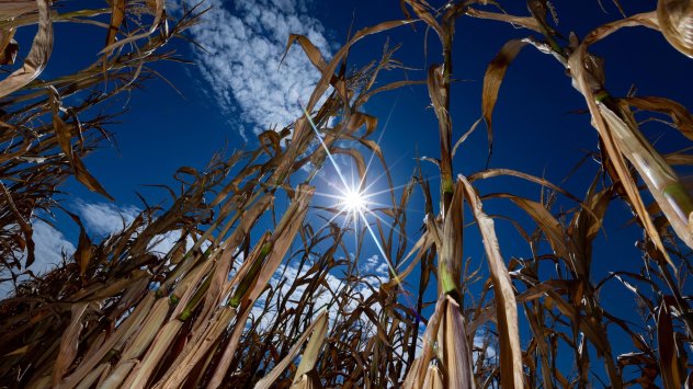 Най горещото лято в Европа вероятно е довело до над 20