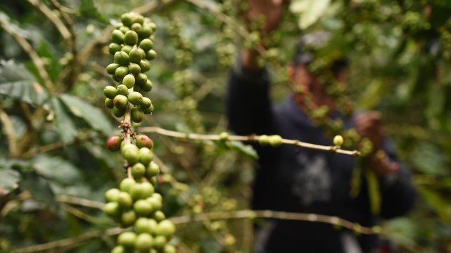 Снимка: Bloomberg