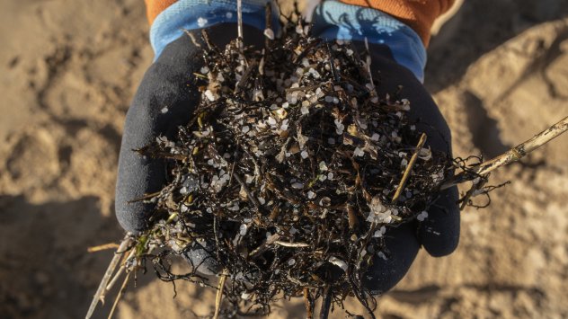 Снимка: Bloomberg LP