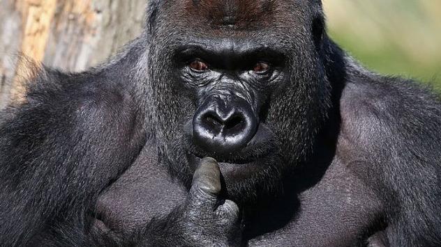 Снимка: Oli Scarff/Bloomberg