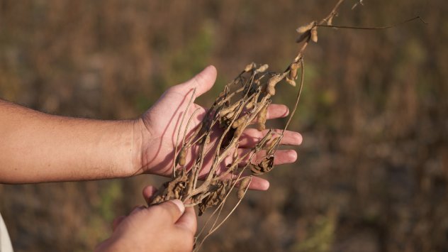 Снимка: Bloomberg L.P.