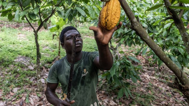 Снимка: Bloomberg