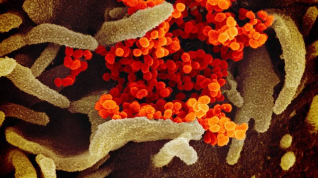 ЕС обвини Китай и Русия в разпространяването на фалшиви новини за Covid-19