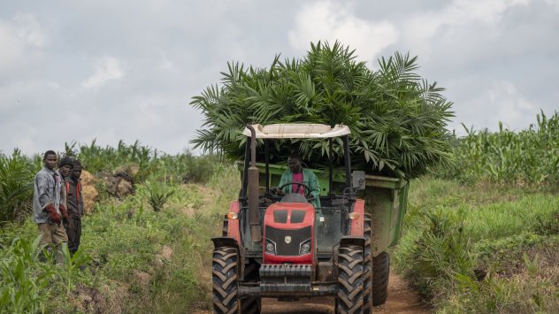 Според ръководителя на най големия кредитор на континента африканските държави се