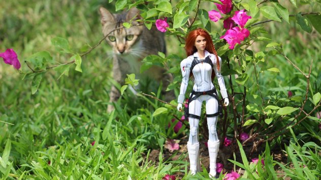 Снимка: Pixabay