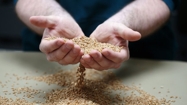 Цените на пшеницата нараснаха до рекордна стойност в последните два