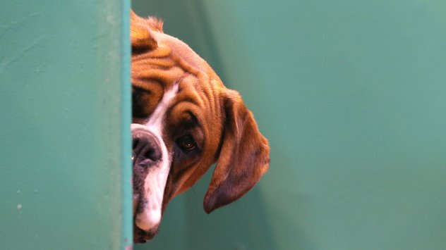 Европа има амбицията да бъде първата в света по отношение