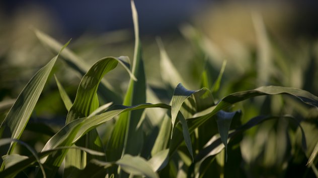 Снимка: Bloomberg L.P. 