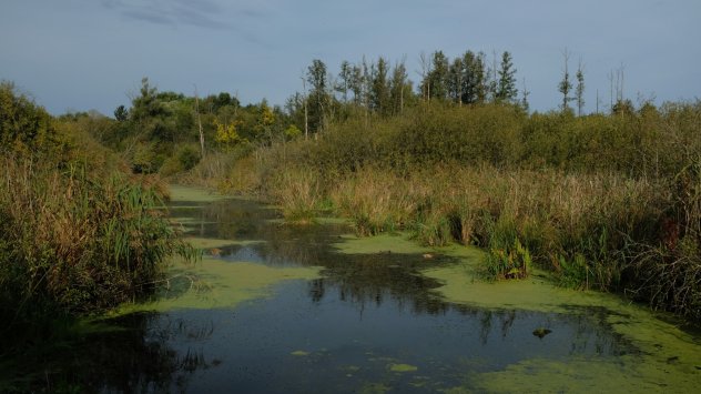 Снимка: Bloomberg L.P.