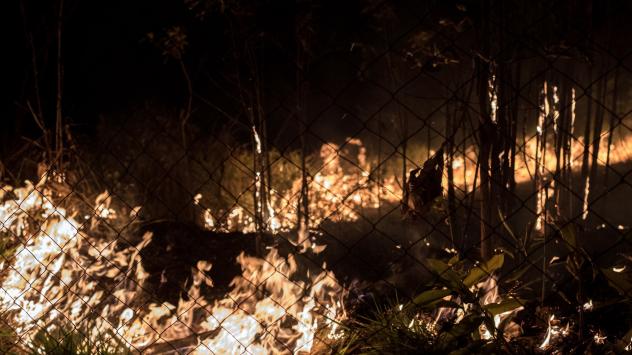 Пожарите в Бразилия продължават да вилнеят. Снимка: Leonardo Carrato/Bloomberg