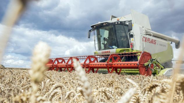 Реколта на пшеница