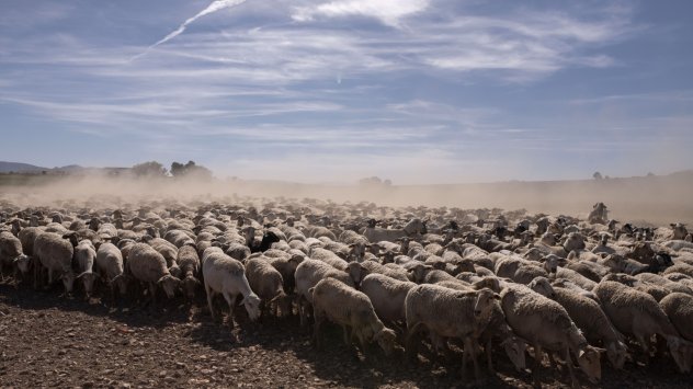 Снимка: Bloomberg LP