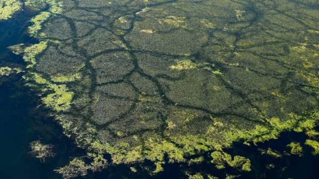 Снимка: Bloomberg