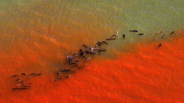 Снимка: Bloomberg