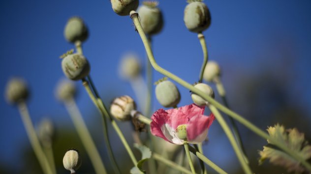 Снимка: Bloomberg