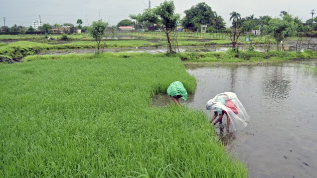 снимка: Bloomberg LP