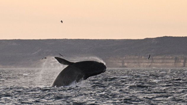 Снимка: Bloomberg