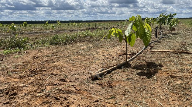 Снимка: Bloomberg LP