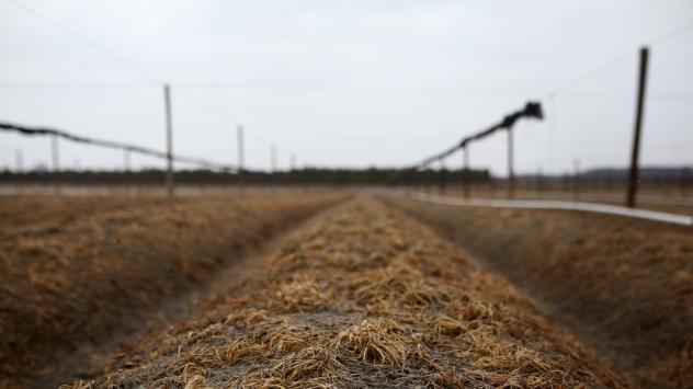 Снимка: Cole Burston/Bloomberg