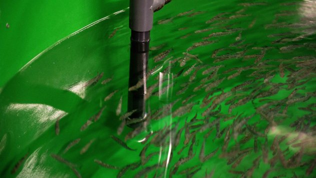 Снимка: Bloomberg L.P.