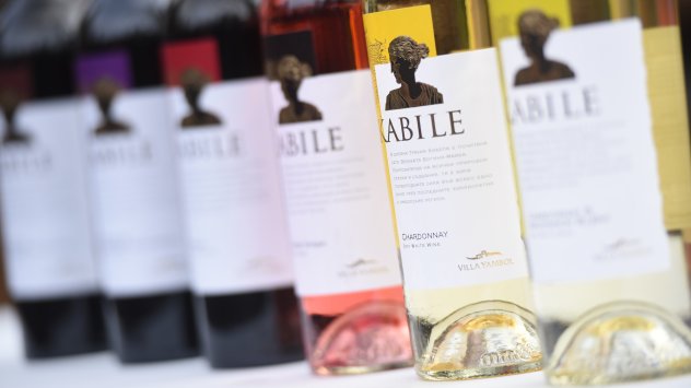 Снимка: Вила Ямбол