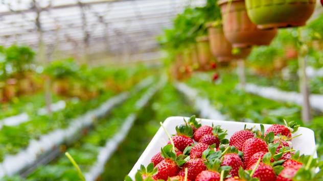 Снимка: Pixabay