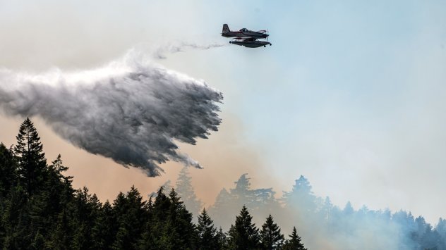 Снимка: Bloomberg