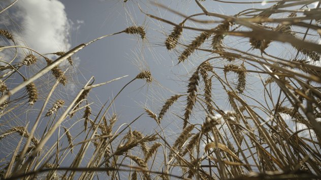 Снимка: Bloomberg