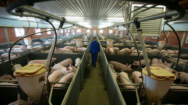 Британските супермаркети остават без основни меса 