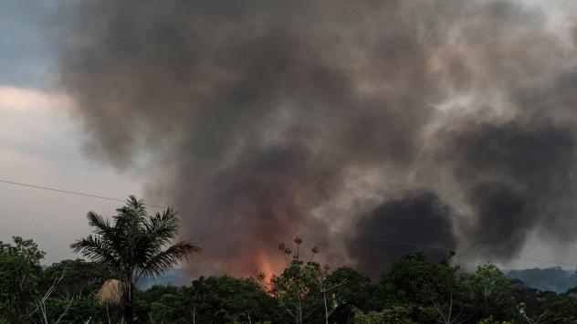 Пожар в джунглата. Снимка:Leonardo Carrato/Bloomberg