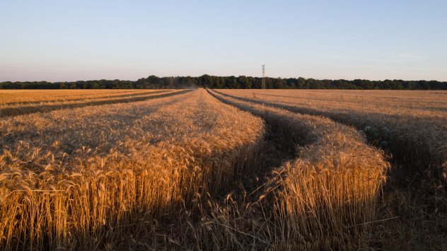 Окупираният от Русия полуостров Крим доставя повече от 50 пъти