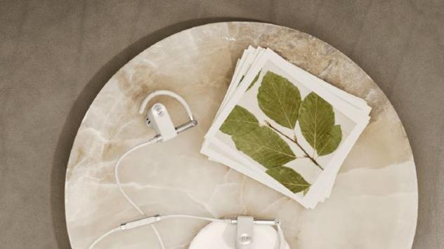 Снимка: Bang &amp; Olufsen