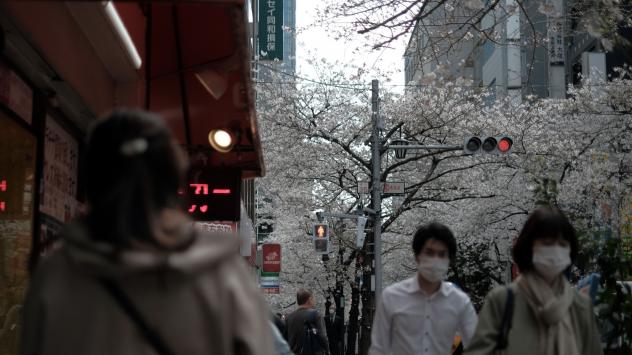 Снимка: Bloomberg L.P.