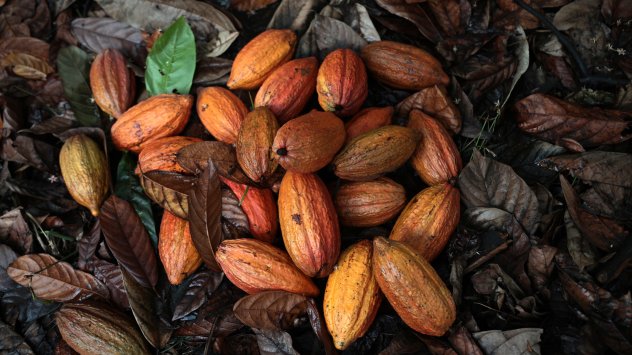 Снимка: Bloomberg LP