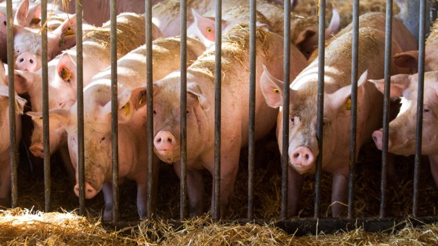 Китай потвърждава дългосрочната си цел да бъде почти изцяло независим