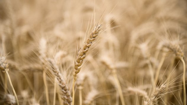 Снимка: Bloomberg L.P.