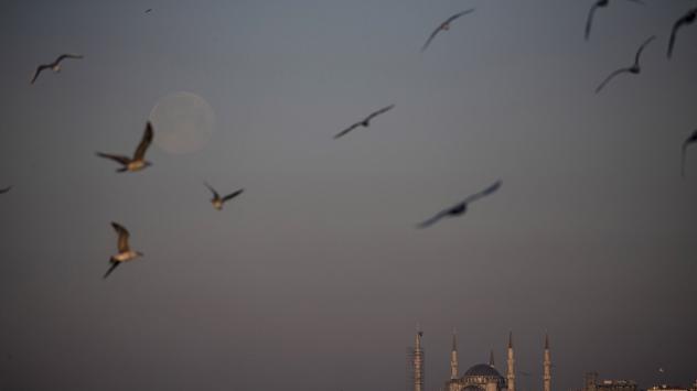 Снимка: БГНЕС