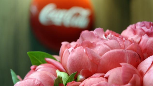 ИТ центърът на Coca-Cola HBC в София. 30 май 2018. Снимка: С.Грозева/Bloomberg TV Bulgaria