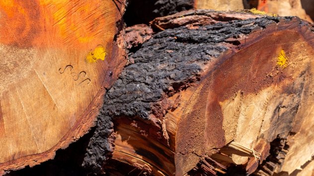 Снимка: Bloomberg LP