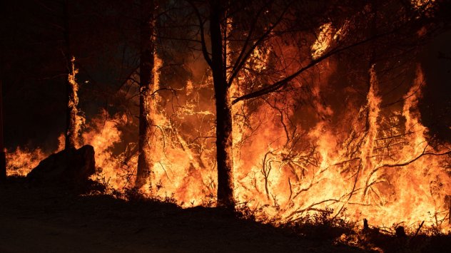 Снимка: Bloomberg