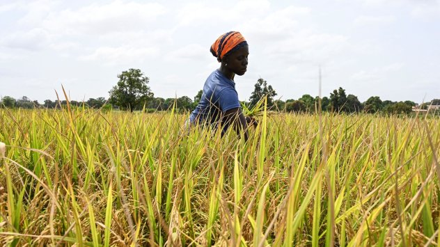 Снимка: Bloomberg L.P.