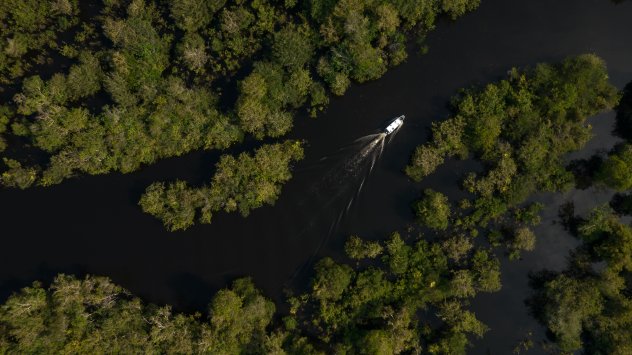  Лодка се движи в сърцето на Амазонската дъждовна гора в Бразилия. Фотограф: Снимка: Йоне Рориз/Bloomberg