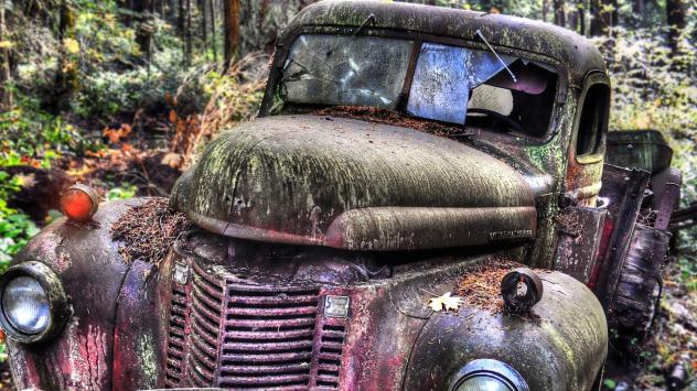 Снимка: Pyxabay