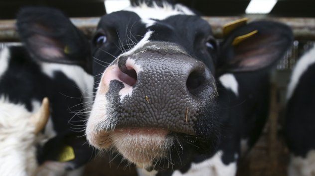 Снимка: Bloomberg