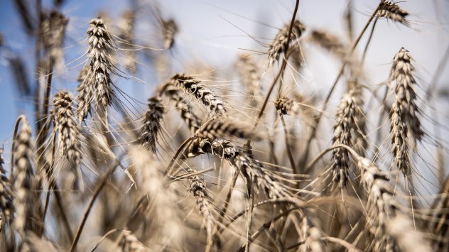 Снимка: Bloomberg L.P.