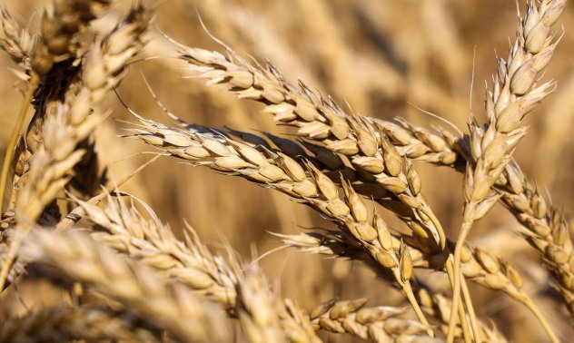 Земеделците в България с призив към ЕК за преосмисляне на зелените изисквания