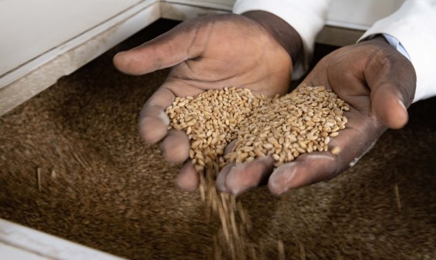 Ще ни застигне ли колелото на историята - дажби и купонни системи по света