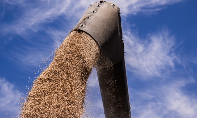 Основен руски търговец на зърно обвини Москва в надуване на цените