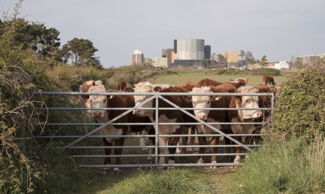 Малките ядрени реактори имат голям проблем с отпадъците