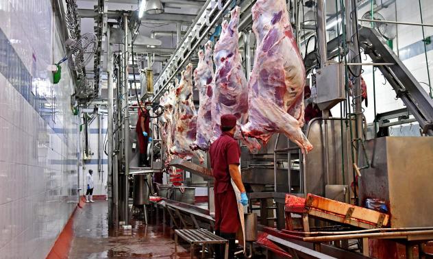 Германският министър на труда иска да наложи засилен контрол и защита за месната индустрия
